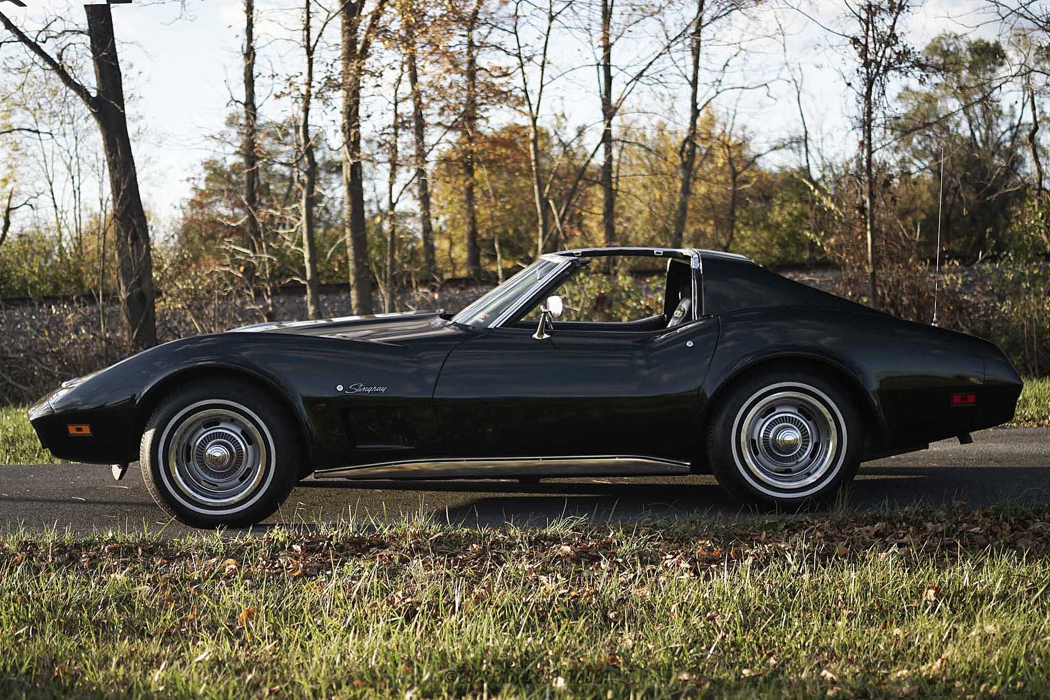 1974 Chevrolet Corvette Coupe L48 for Sale | Exotic Car Trader